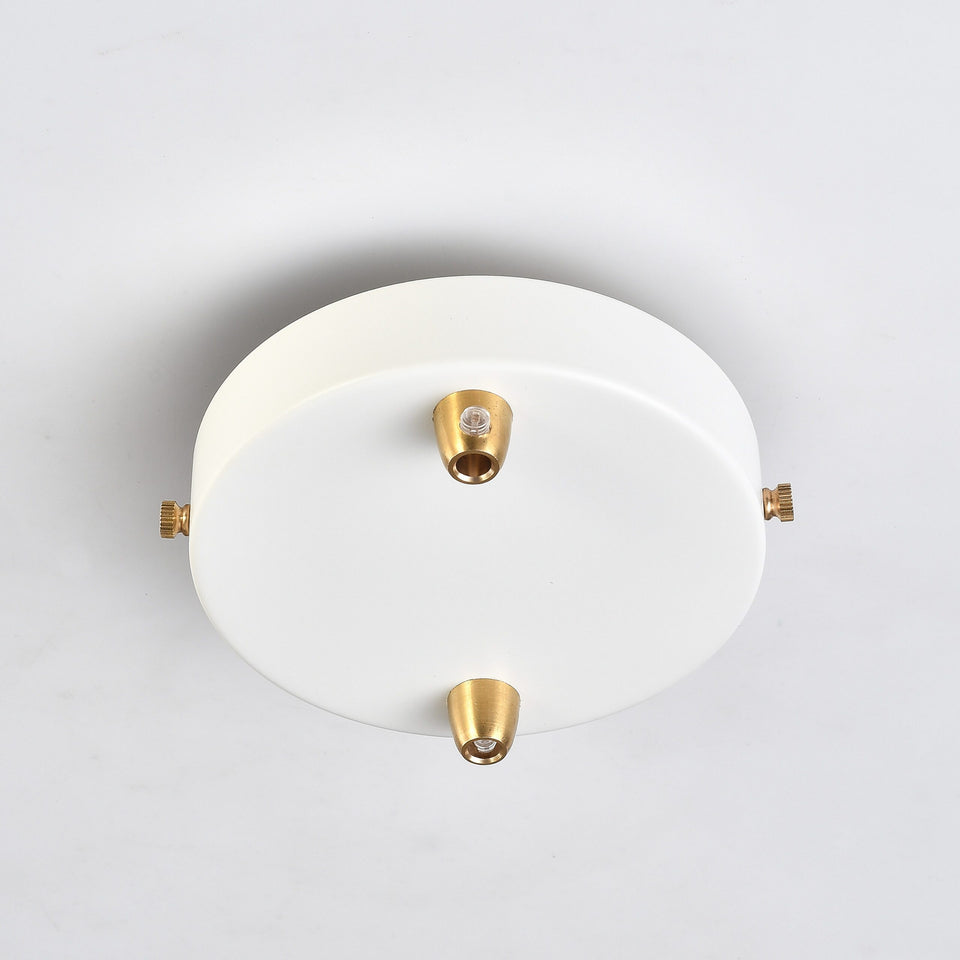 2-Port White Ceiling Canopy With Brass Cord Grip