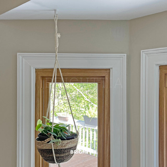 plant hanging ceiling hooks Easy Ceiling Hook – Minimal Hook for Hanging Plants, Pendant Lights & Home Decor – Brighttia