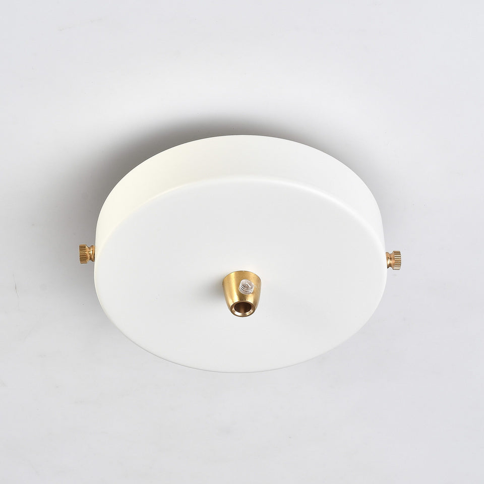 1-Port White Ceiling Canopy With Brass Cord Grip