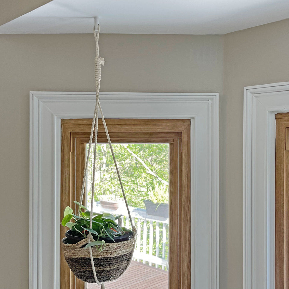 Easy Ceiling Hook - White – Brighttia