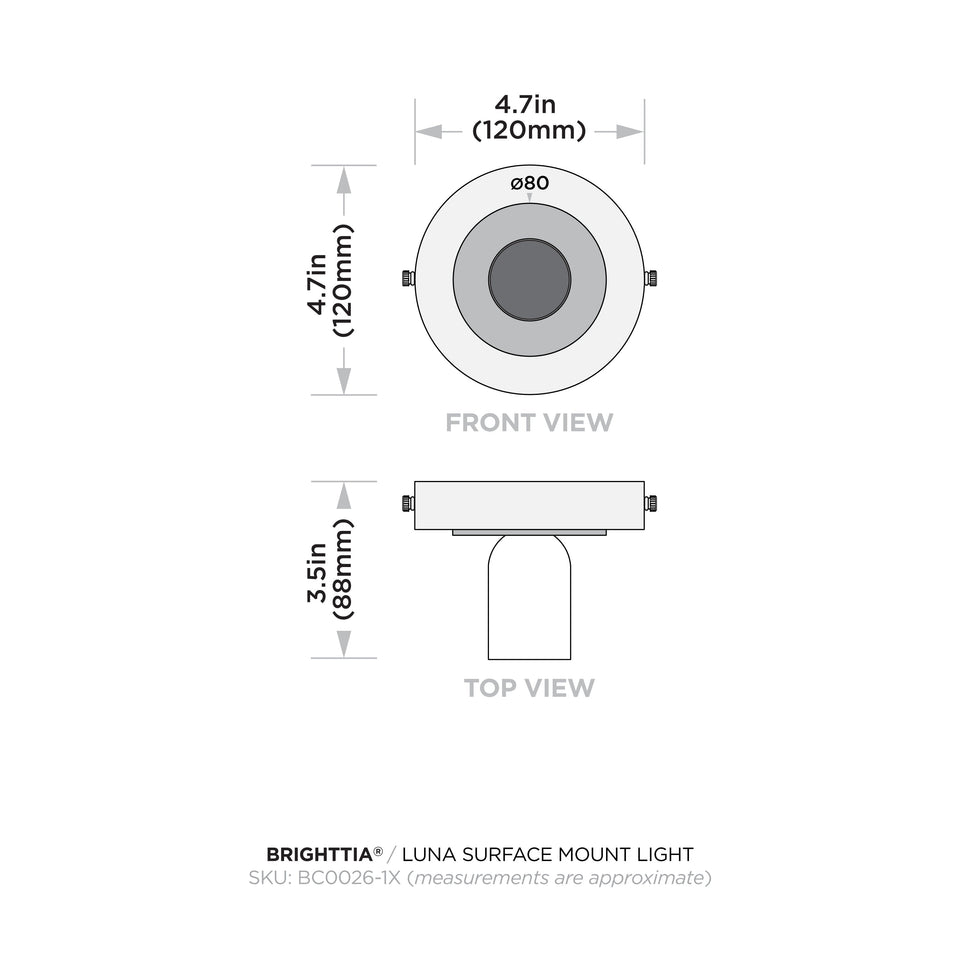 Luna Surface Mount Light - Black/Gold